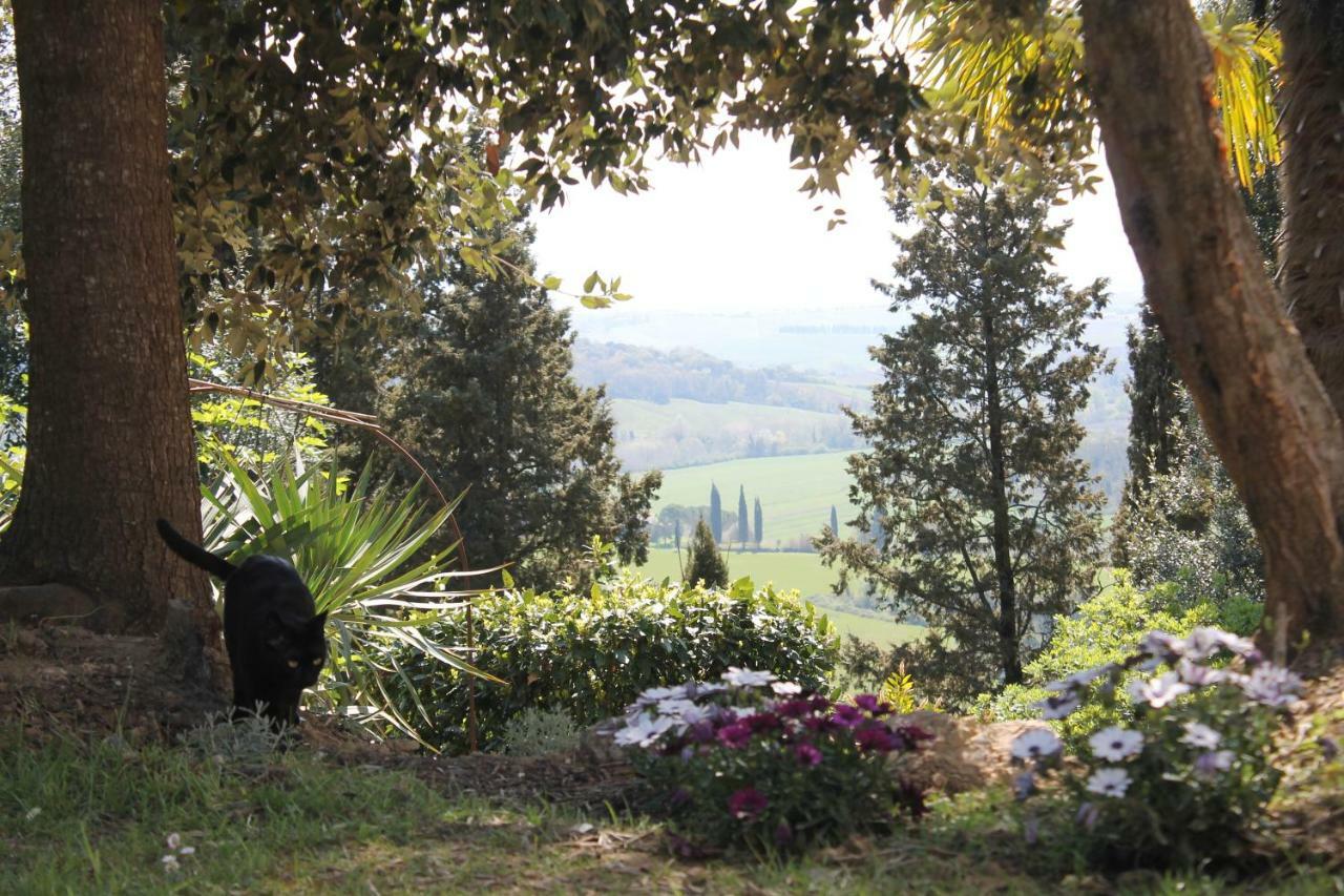 Bb Gli Aristogatti Bed & Breakfast Ghizzano Exterior foto